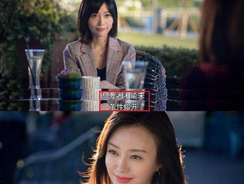 娱乐圈吃瓜搬运工小说