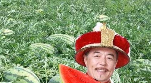 吃瓜 瓜农 娱乐圈,瓜农视角下的娱乐圈风云录