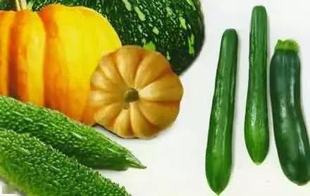 坐地吃瓜的意思,揭秘“坐地吃瓜”的智慧生活态度