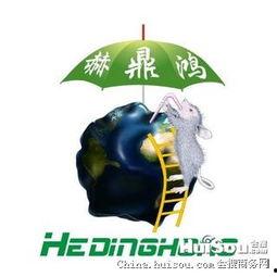 娱乐吃瓜酱灭鼠,揭秘灭鼠背后的趣味故事