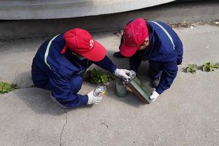 娱乐吃瓜酱灭鼠,揭秘灭鼠背后的趣味故事